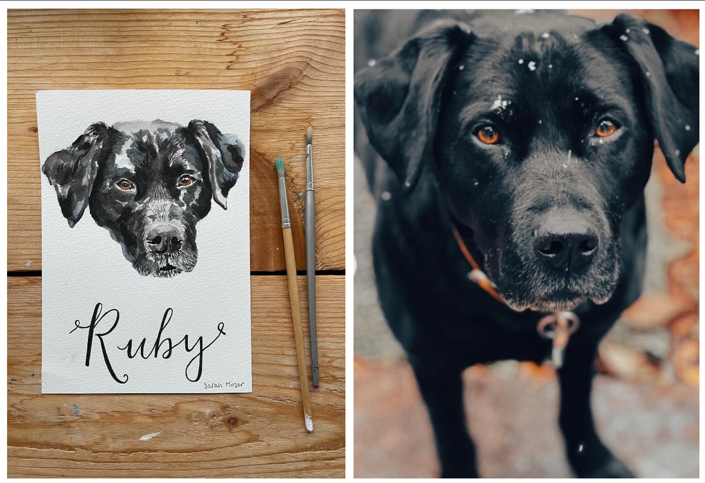 Black dog portrait commission beside a reference photo