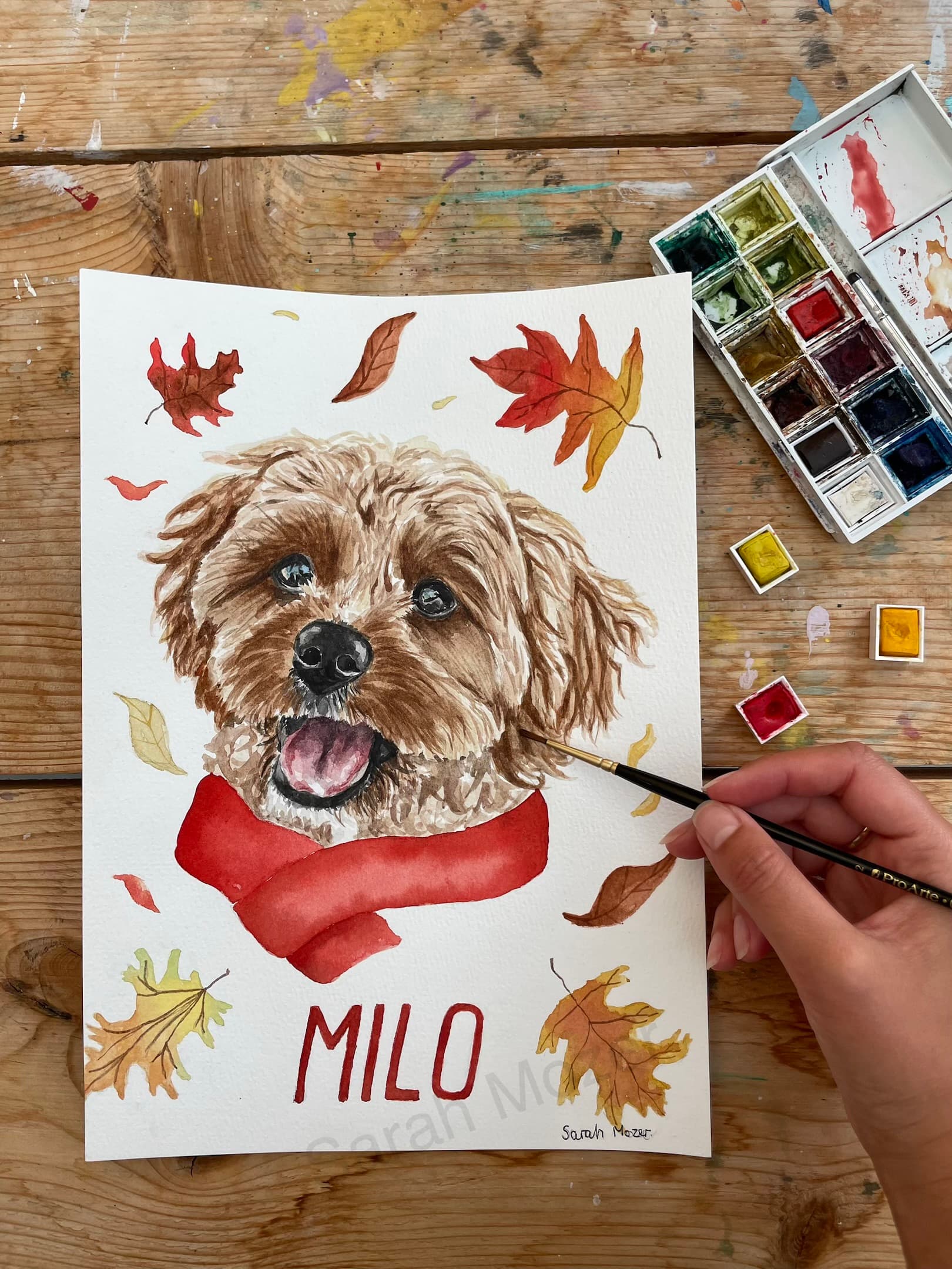 Fluffy dog portrait in progress with watercolour paints